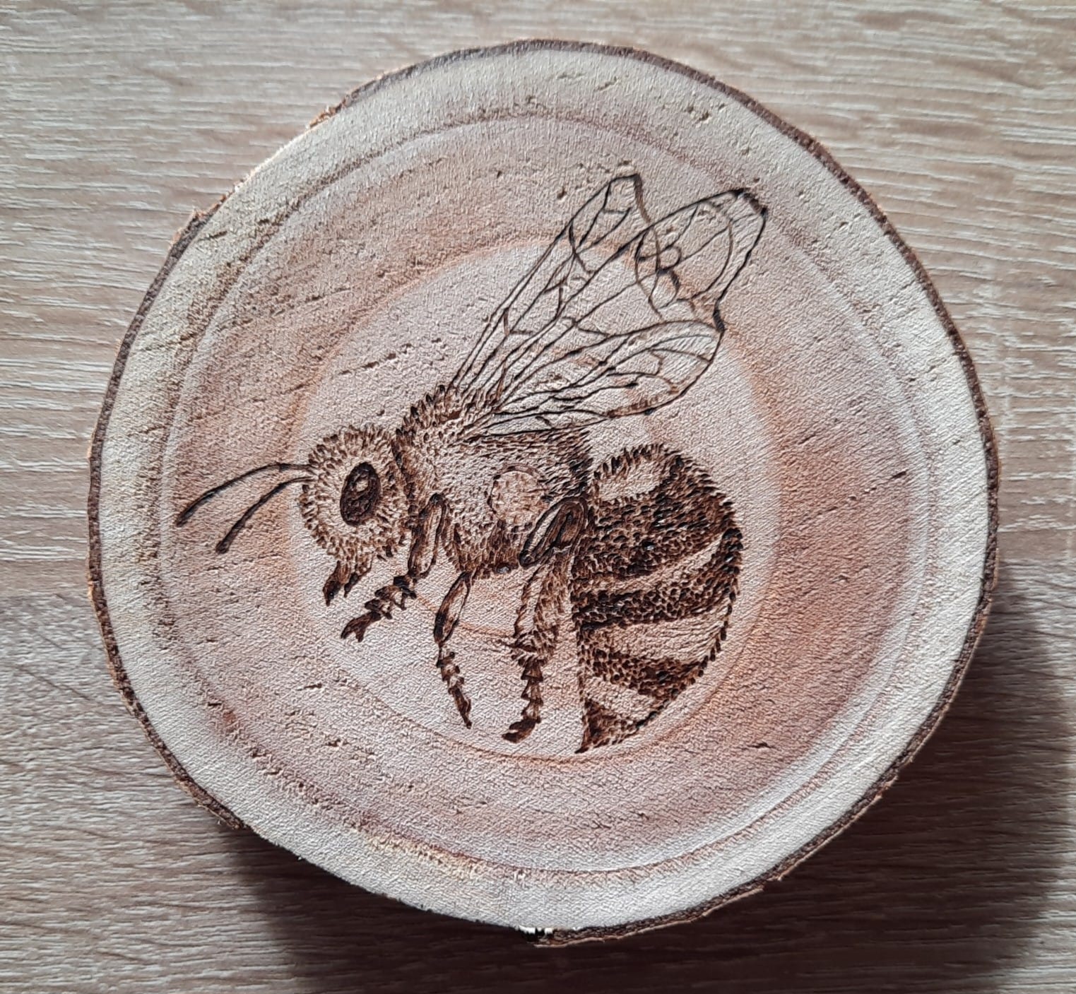 Brandmalerei Biene auf Holz
