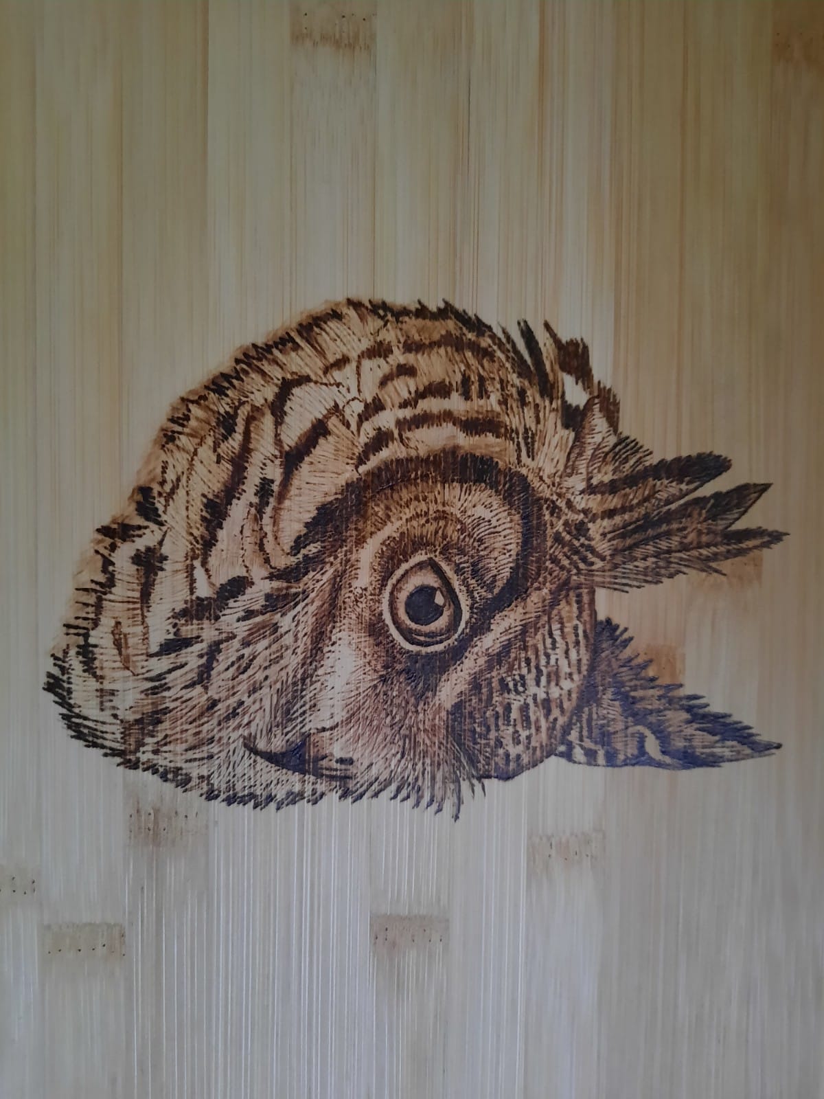 Brandmalerei Eule auf Holz