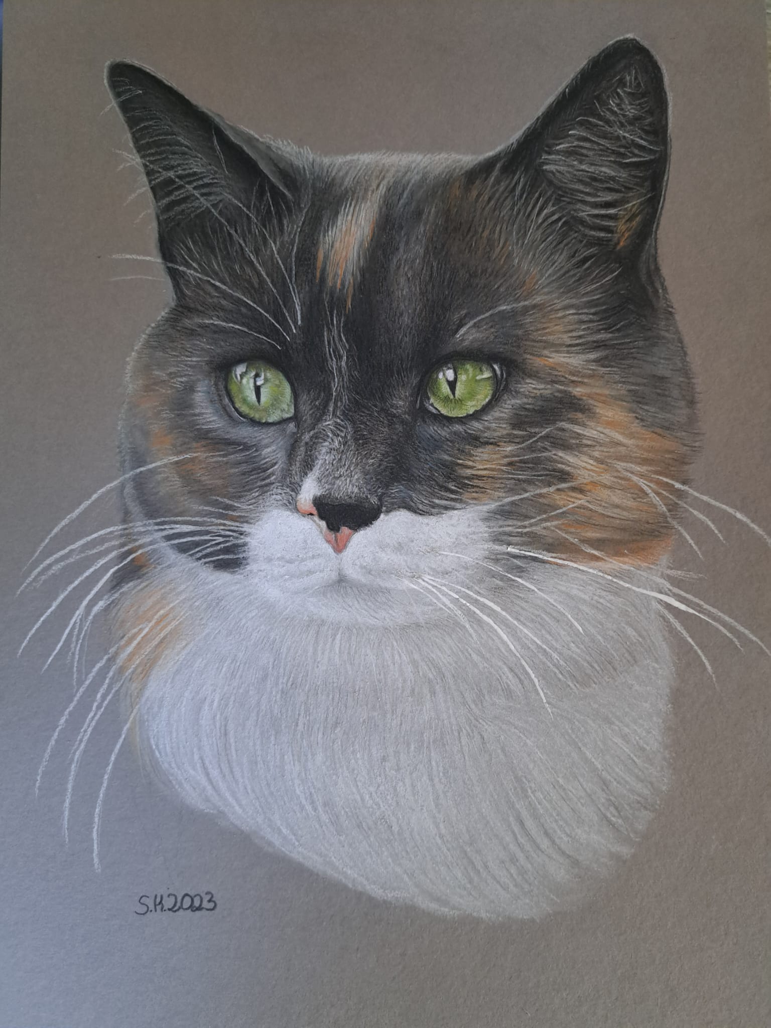 Pastellzeichnung Katze